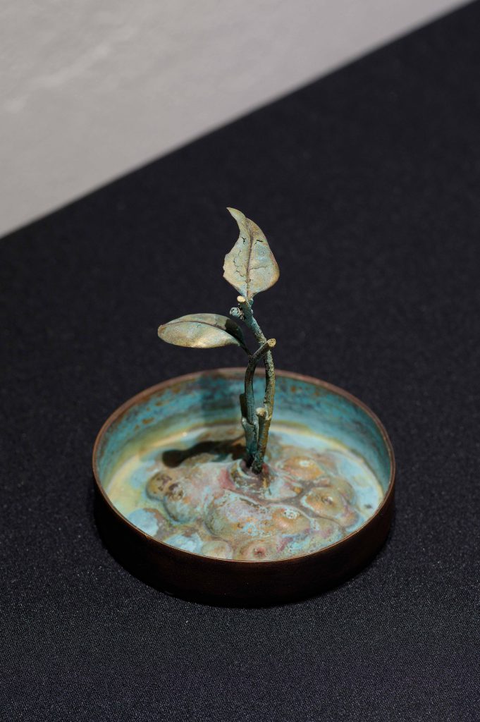 いまからまめさら2017