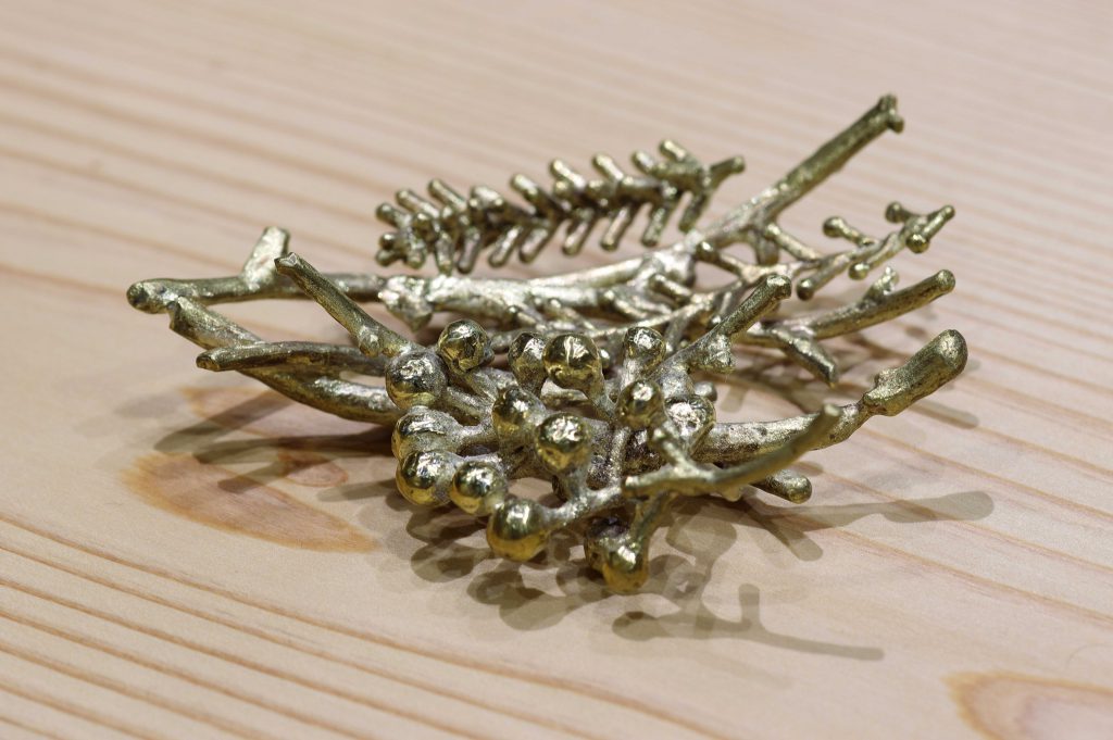 いまからまめさら2018